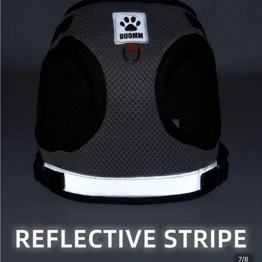 Gray Cat Harness